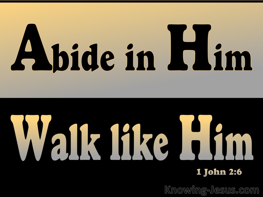 1 John 2:6 Abide In Him Walk Like Him (black)